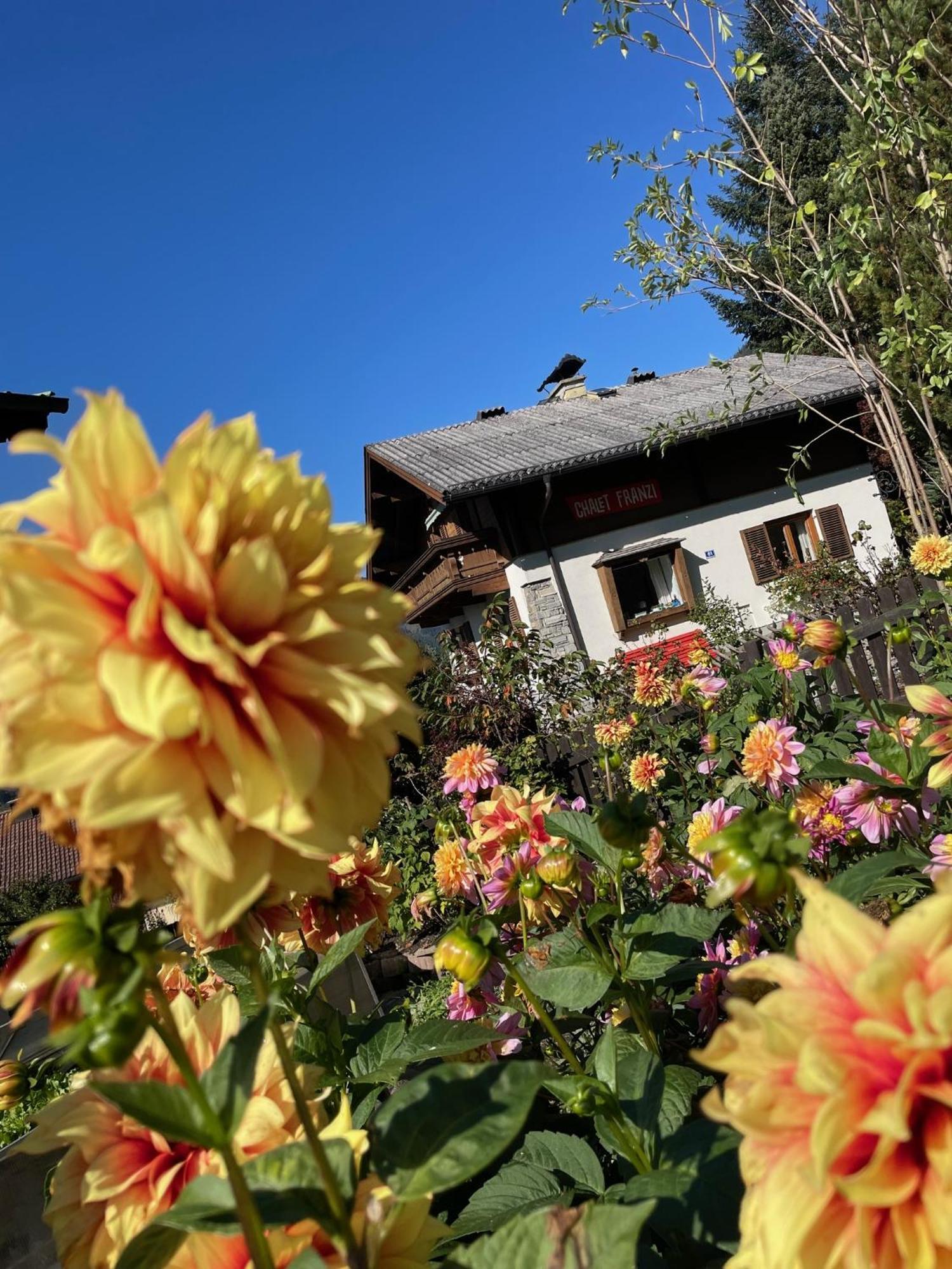 Chalet Franzi - Das Family-Ferienhaus Mit Gratiseintritt Ins Solarbad Dorfgastein Ngoại thất bức ảnh